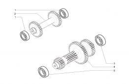 Reverse and primary shafts